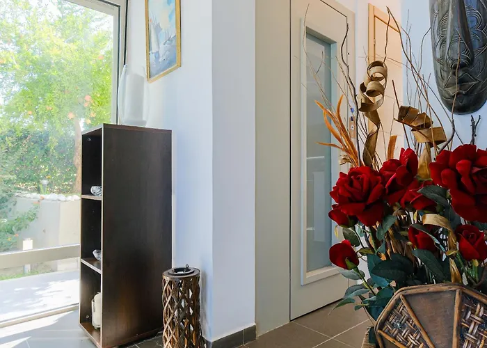 Villa Deluxe Chrousso Pool Paliouri